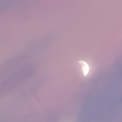 Li_0nh