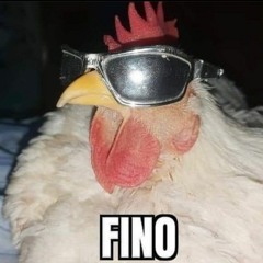 chicken plug