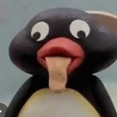 Noot