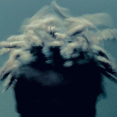 mind hell (learn by fire))