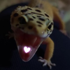 Erlik_jester