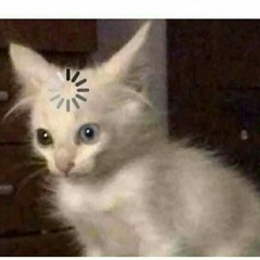 uselessuser99