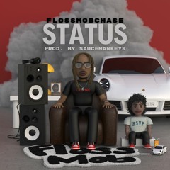 FlossMobChase