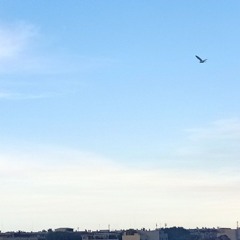 Wielsen