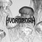 Hydrozoan