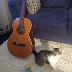 Kuffner 'Pastorale' (no metronome)