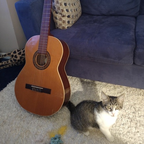 Bach 'Minuet in G' (no metronome)