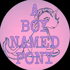 A Boy Named Pony