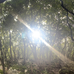 Kholoud Saleh Asakli