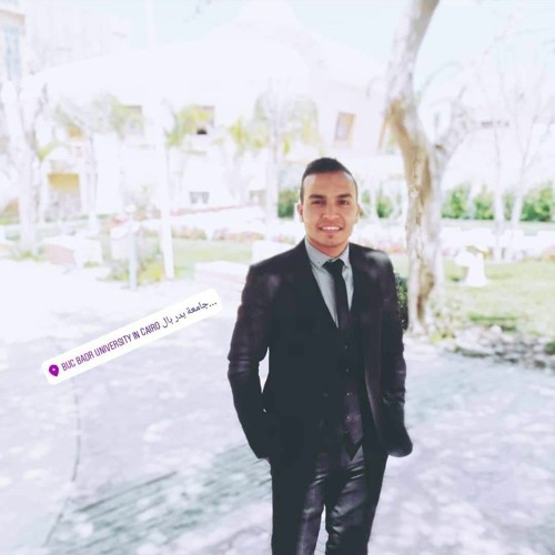 Abdulmeniem Mohamed’s avatar