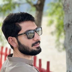 Syed Talha