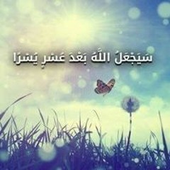 هاني اشرف