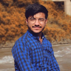 Hamza Afridi