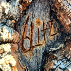 6Litz