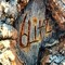 6Litz
