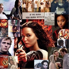 🏹HUNGER GAMES FAN🏹
