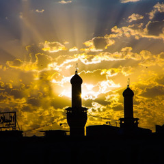عقيلة الطالبيين