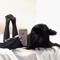 Cordier (@sircordier)