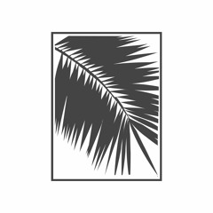 Palmera Blanca