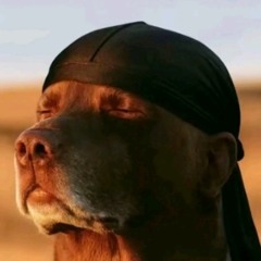 5iveski