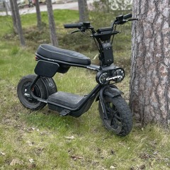 vittu