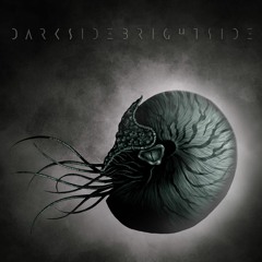 Dark Side Bright Side