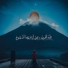 رشا عبد الرحمن