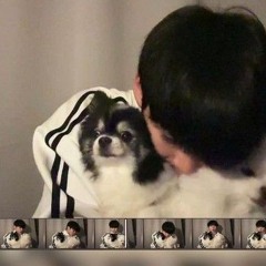 에프