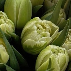 Movado Ft Neyo - I Know You Want Me (Remix)