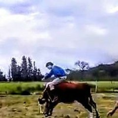 Tomi Castillo