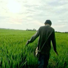 Stey4r