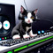 OnyxDJ ( Christian M)