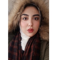 Dina Hamdy