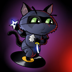 Ninja Kitteh
