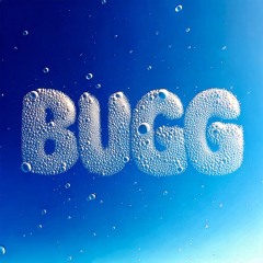 B U G G