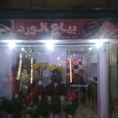 محمد امام حافظ
