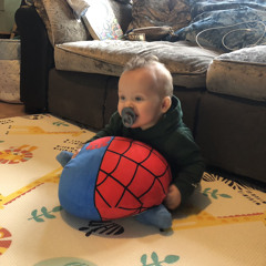 Harley Norfor
