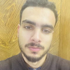 محمد أبوشادي