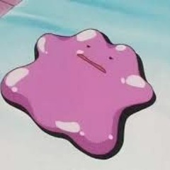 Nicolás N. Navarrete