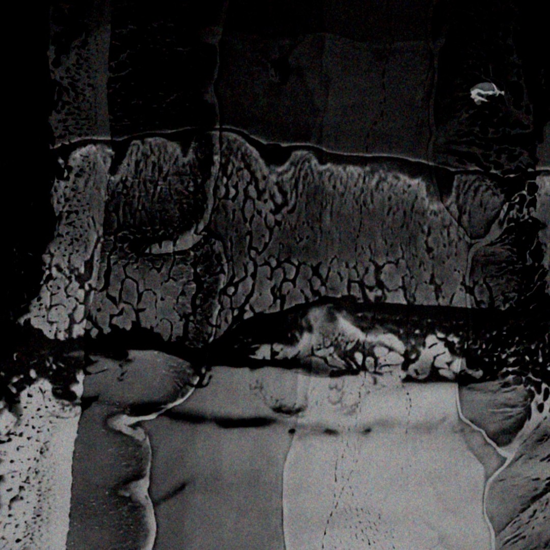 Stream Pluie/Noir music | Listen to songs, albums, playlists for
