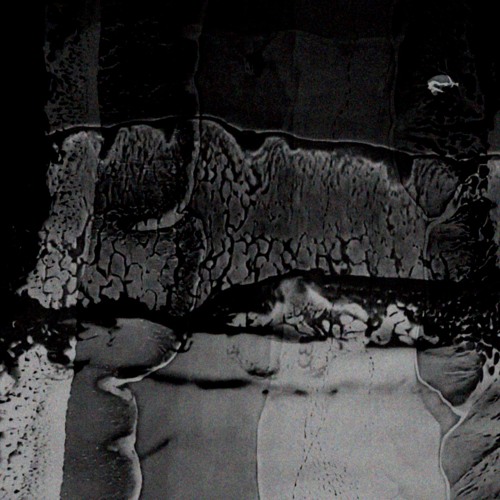 Pluie/Noir — artist photo