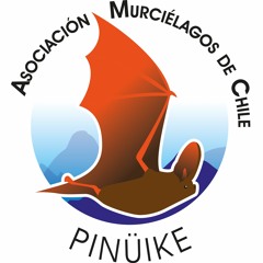 Murciélagos De Chile