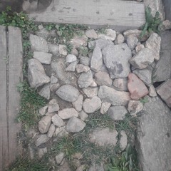 Tandin Namgyal