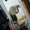 KNX