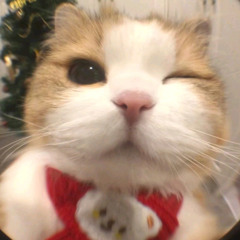 𝐂𝐡𝐚𝐳𝐧𝐲𝐞♡