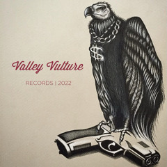 Valley Vultures