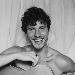 ShawnMendes