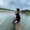 Rimba Rawi