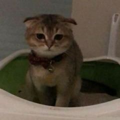 just another gay kid