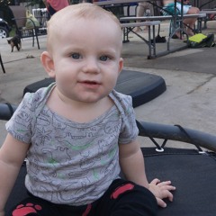 robby young